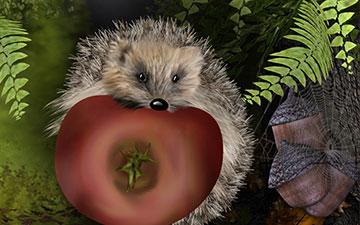 Apfeligel